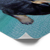 Schlafkopfwelpen Poster (Ecke)