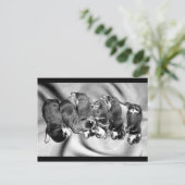 Schlafkopfwelpen Postkarte (Stehend Vorderseite)