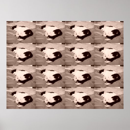 Schlafküche/Schwarz/Weiß Foto Poster (Vorne)