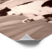Schlafküche/Schwarz/Weiß Foto Poster (Ecke)
