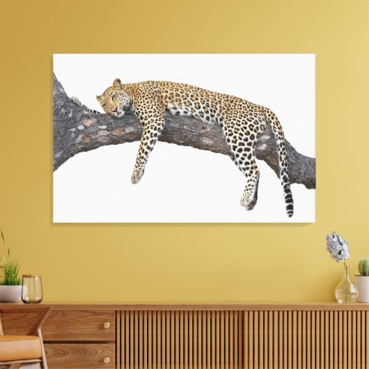 Schlafleopard Leinwanddruck (Insitu (Wohnzimmer))