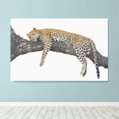 Schlafleopard Leinwanddruck (Insitu (Holzboden))