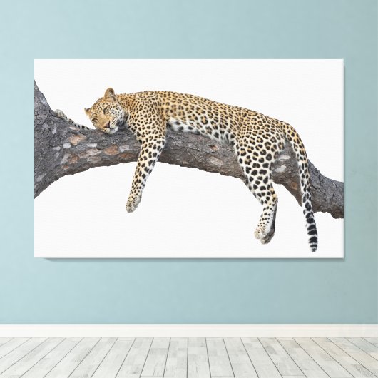 Schlafleopard Leinwanddruck (Insitu (Holzboden))