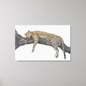 Schlafleopard Leinwanddruck (Vorderseite)