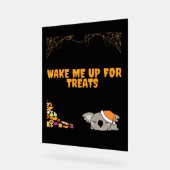 Schlafliches Tier für Halloween-Leckereien! Klassi Acrylschild (Winkel)