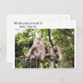 Schlaflose Affen auf Bali Postkarte (Vorne/Hinten)
