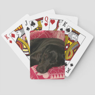 Schlaflose Hunde, die Karten spielen Spielkarten