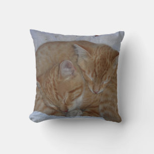 Schlaflose Katzen Kissen