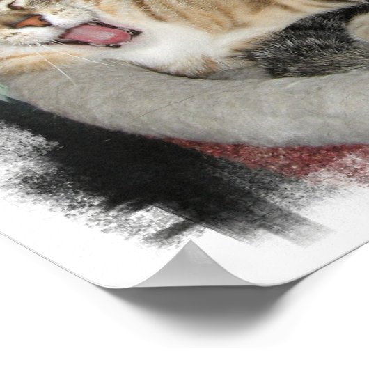 Schlaflose Katzen Poster (Ecke)