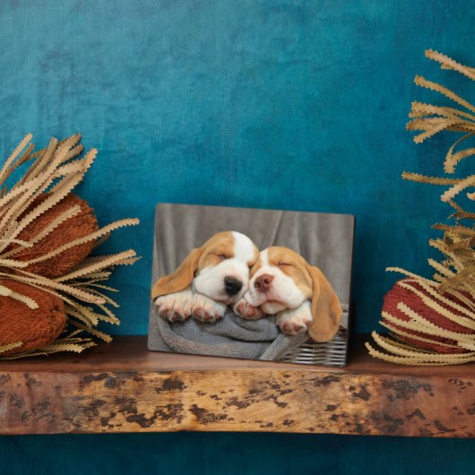 Schlaflose Welpen Fotoplatte (Seite)