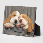 Schlaflose Welpen Fotoplatte (Seite)