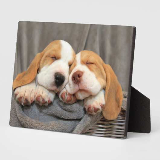 Schlaflose Welpen Fotoplatte (Seite)