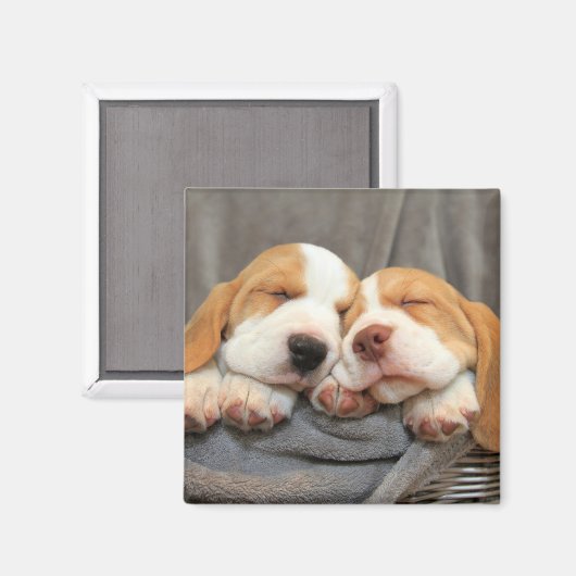 Schlaflose Welpen Magnet (Vorderseite/Rückseite)