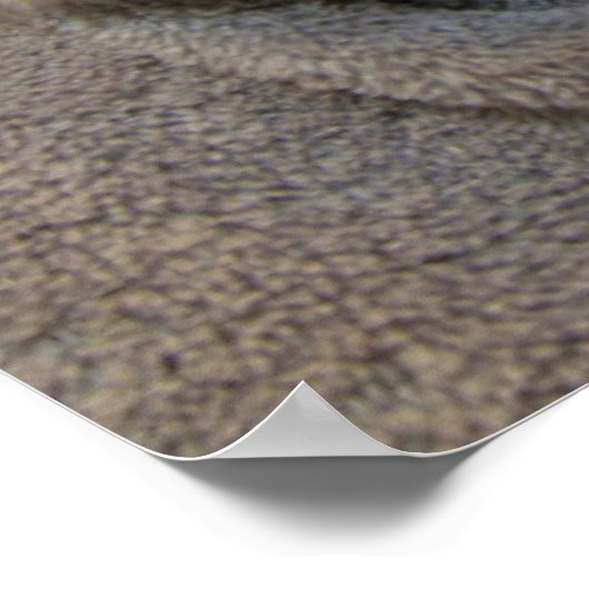 Schlaflose Welpen Poster (Ecke)