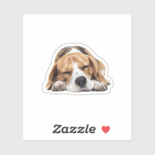 Schlafloser Beagle Hund - Niedliches, gemütliches  Aufkleber