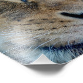 Schlaflosigkeit Fotodruck (Ecke)