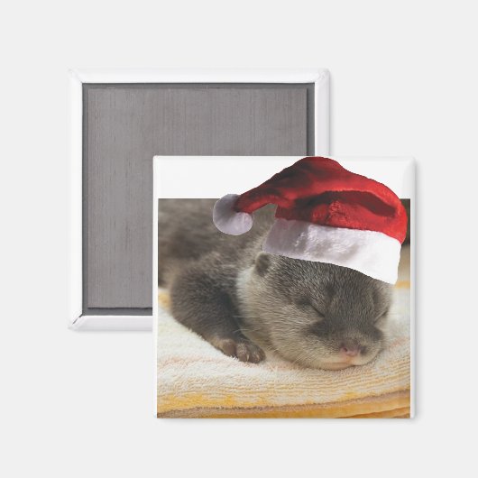 Schlaflosigkeit Magnet (Vorderseite/Rückseite)