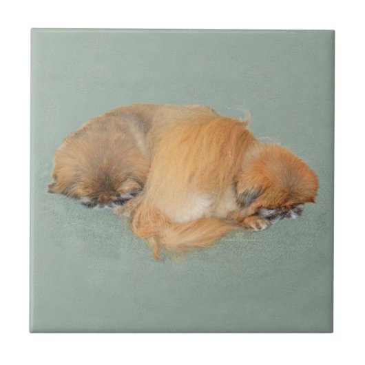 Schlaflosigkeit Nachmittag Fliese (Vorderseite)