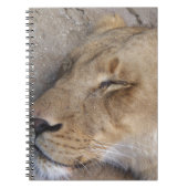 Schlaflosigkeit Notizblock (Vorderseite)