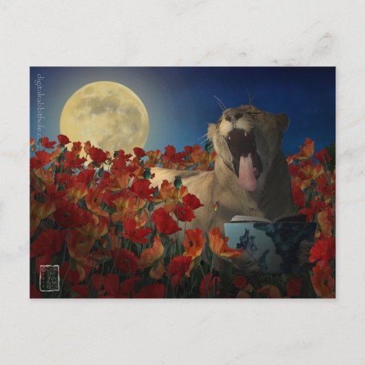 Schlaflosigkeit Postkarte (Vorderseite)