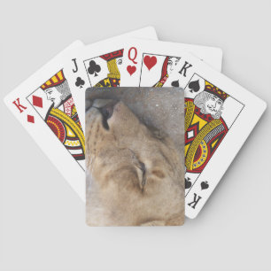 Schlaflosigkeit Spielkarten