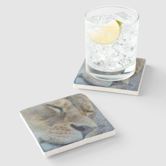 Schlaflosigkeit Steinuntersetzer (Seitenansicht)