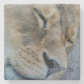 Schlaflosigkeit Steinuntersetzer (Vorderseite)