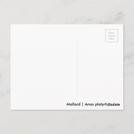 Schlafmallard Postkarte (Rückseite)