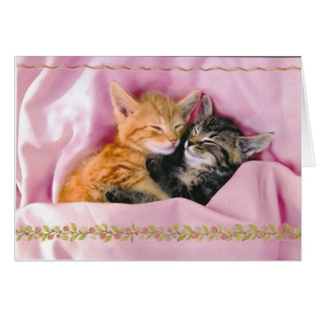 Schlafmittel; ausgespuckt (Vorderseite (Horizontal))