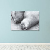 Schlafmittel Leinwanddruck (Insitu (Holzboden))