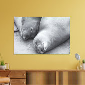 Schlafmittel Leinwanddruck (Insitu (Wohnzimmer))