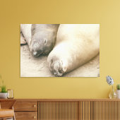 Schlafmittel Leinwanddruck (Insitu (Wohnzimmer))