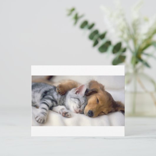 Schlafmittel Postkarte (Stehend Vorderseite)