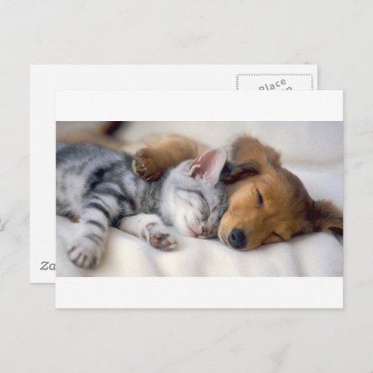 Schlafmittel Postkarte (Vorne/Hinten)