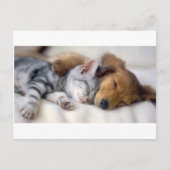 Schlafmittel Postkarte (Vorderseite)