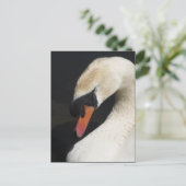 Schlafmute Swan Postkarte (Stehend Vorderseite)