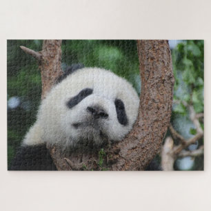 Schlafpanda auf einem Baum Puzzle