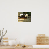 Schlafpanda Poster (Küche)