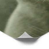 Schlafpanther Poster (Ecke)