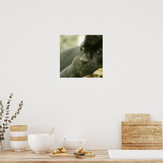 Schlafpanther Poster (Küche)