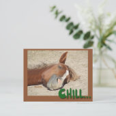 Schlafpferd Lächeln: Chill Postkarte (Stehend Vorderseite)