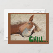 Schlafpferd Lächeln: Chill Postkarte (Vorne/Hinten)