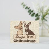Schlafplätze mit Chihuahuas Postkarte (Stehend Vorderseite)