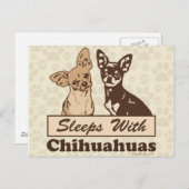 Schlafplätze mit Chihuahuas Postkarte (Vorne/Hinten)