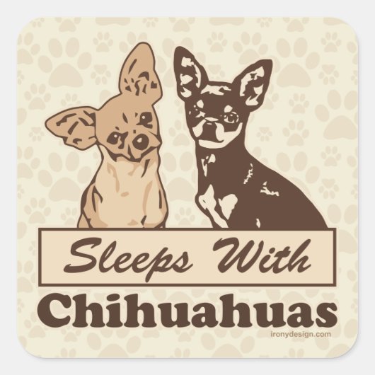 Schlafplätze mit Chihuahuas Quadratischer Aufkleber (Vorderseite)