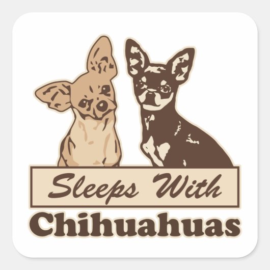 Schlafplätze mit Chihuahuas Quadratischer Aufkleber (Vorderseite)
