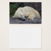 Schlafpolarbär (Vorne & Hinten)