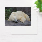 Schlafpolarbär (Schreibtisch)