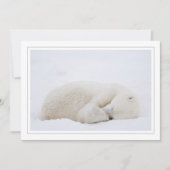 Schlafpolarbär Feiertagskarte (Vorderseite)