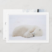 Schlafpolarbär Feiertagskarte (Vorne/Hinten)